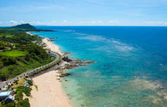 奄美大島、徳之島、沖縄島北部及び西表島の写真