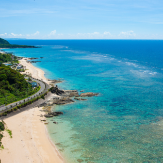 奄美大島、徳之島、沖縄島北部及び西表島の写真