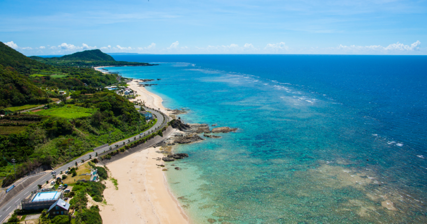 奄美大島、徳之島、沖縄島北部及び西表島の写真