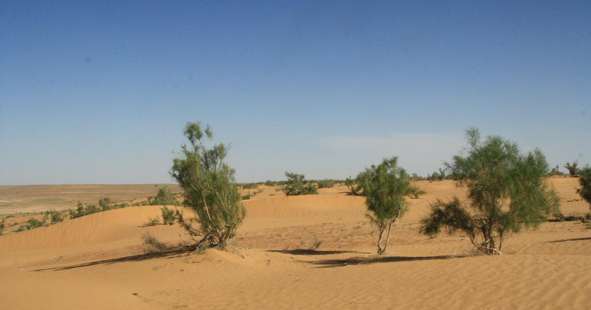 トゥランの寒冬砂漠群 | 自然遺産 | 世界遺産ライブラリ