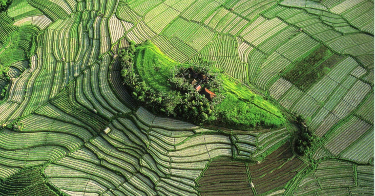 バリ州の文化的景観:トリ・ヒタ・カラナ哲学に基づくスバック灌漑システムの写真