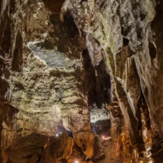 南アフリカの人類化石遺跡群の写真