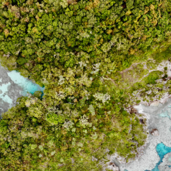 ニューカレドニアのサンゴ礁：環礁の多様性と関連する生態系の写真