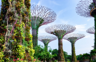 シンガポール植物園の写真