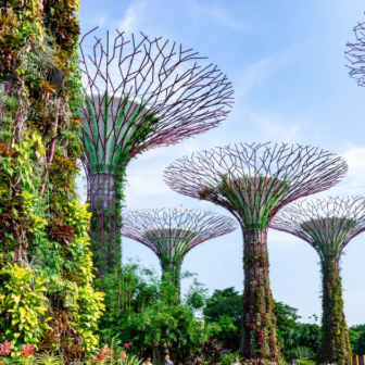 シンガポール植物園の写真