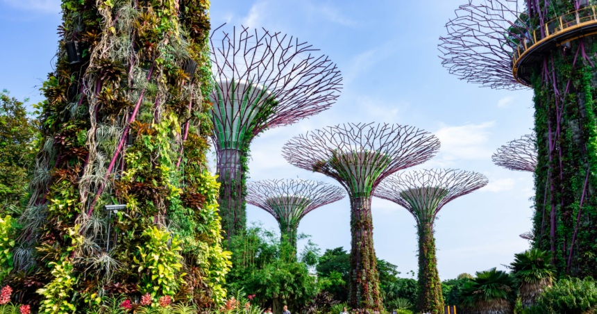 シンガポール植物園の写真